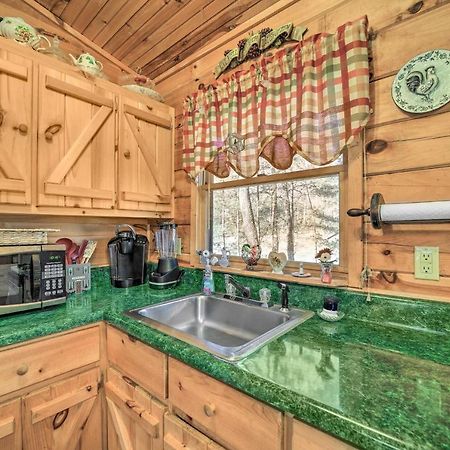 Franklin Cabin With Porch Near Hiking And Waterfalls! Exteriör bild